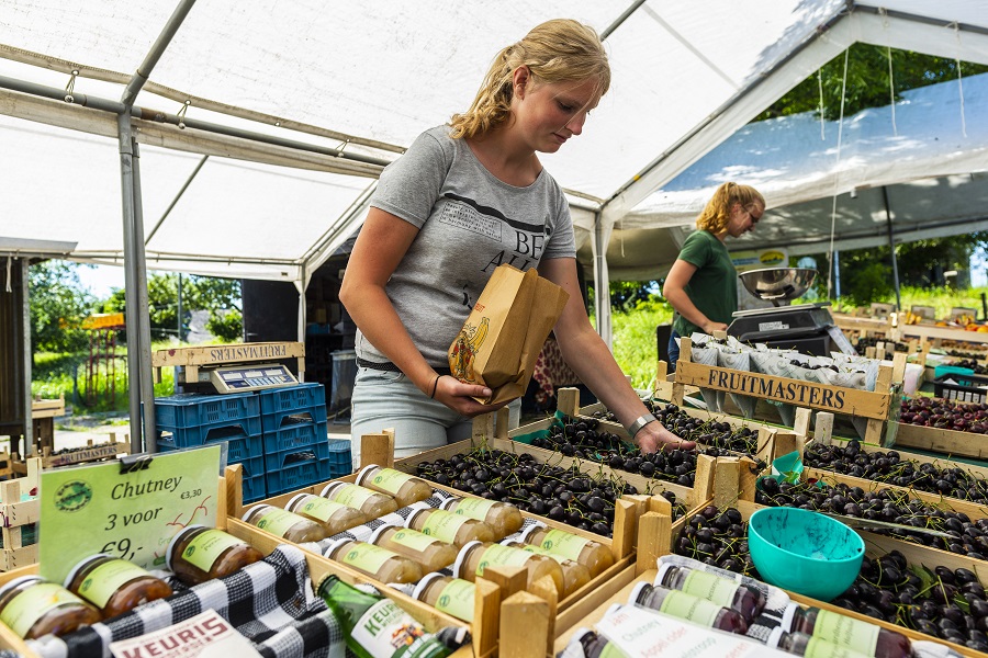 Kersenboomgaard in Hekendorp: volop keuze.