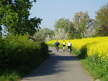 Voerenweg bij Gronsveld