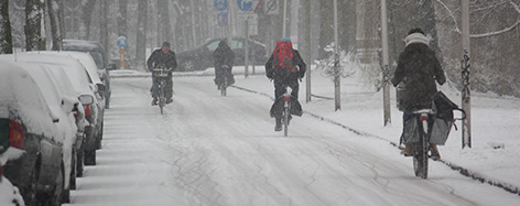 Foto: stoere fietsers trotseren de kou