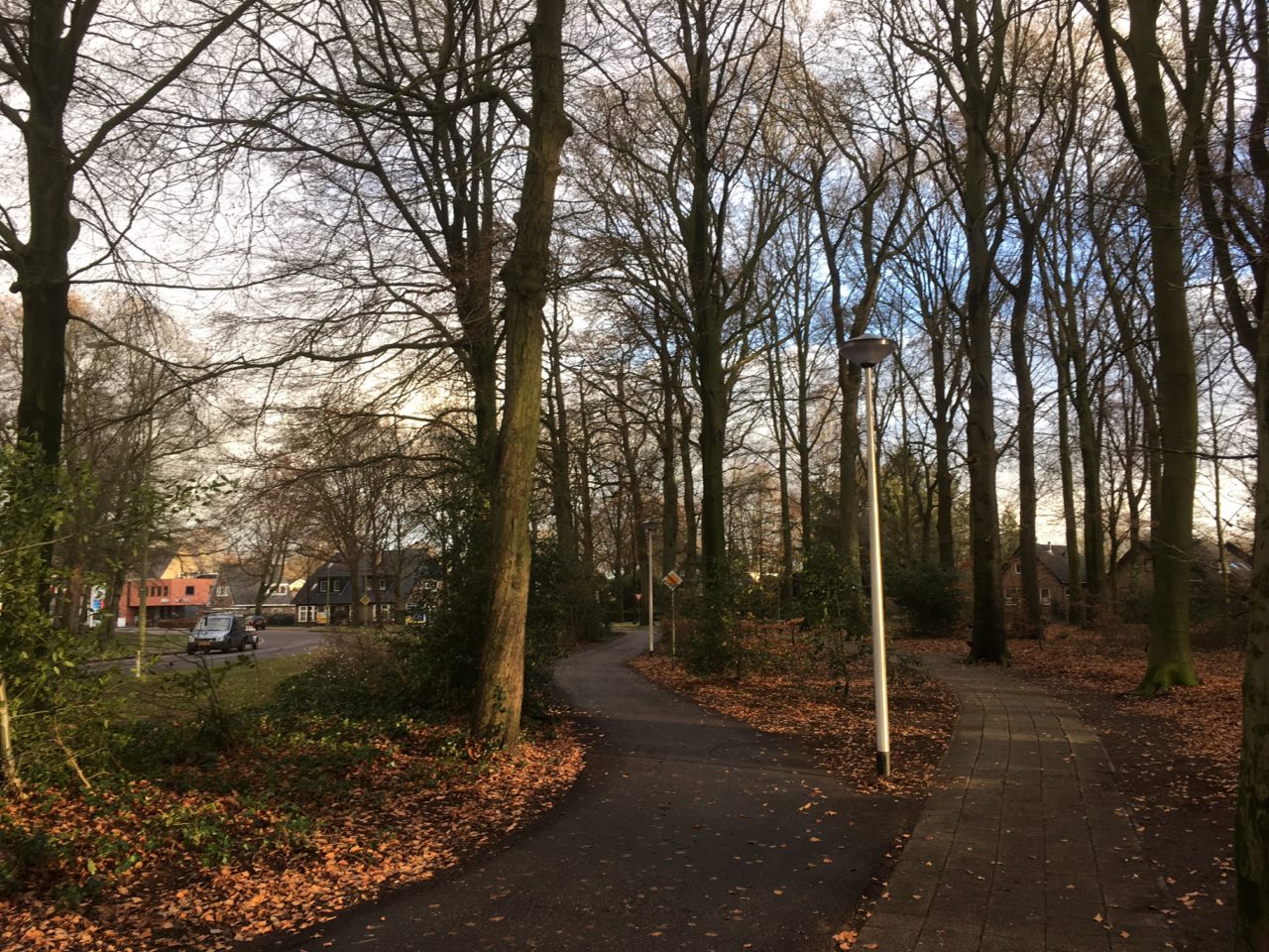 verlichting_fietspad_Tongerense_weg
