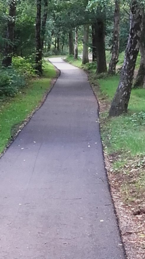 Veense fietspad, juli 2016