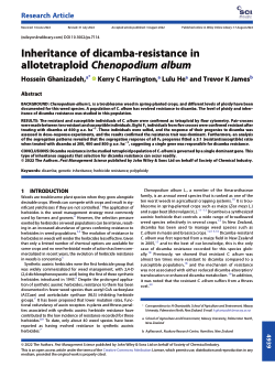 Inheritance of dicamba-resistance in allotetraploid Chenopodium album