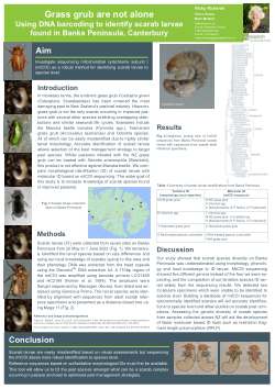 Grass grub are not alone: using DNA barcoding to identify scarab larvae found in Banks Peninsula, Canterbury