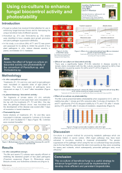 Using co-culture to enhance fungal biocontrol activity and photostability