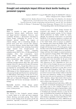 Drought impacts African black beetle feeding on perennial ryegrass
