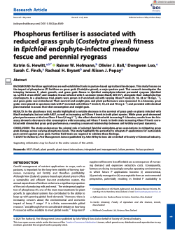 Phosphorus fertiliser is associated with reduced grass grub (<i>Costelytra giveni</i>) fitness in <i>Epichloë</i> endophyte-infected meadow fescue and perennial ryegrass