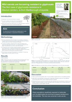 Wild carrots are becoming resistant to glyphosate: The first case of glyphosate resistance in <i>Daucus carota</i> L. is from Marlborough vineyards