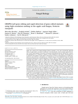 CRISPR-Cas9 gene editing and rapid detection of gene-edited mutants using high-resolution melting in the apple scab fungus, <i>Venturia inaequalis</i>