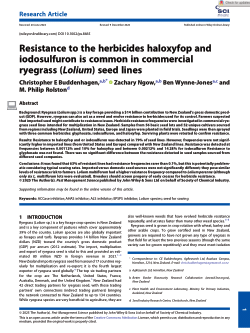 Resistance to the herbicides haloxyfop and iodosulfuron is common in commercial ryegrass (<i>Lolium</i>) seed lines