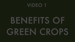 Benefits of green crops