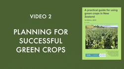 Planning for successful green crops