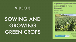 Sowing and growing green crops