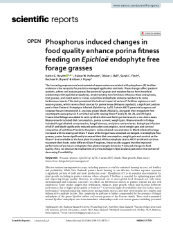 Phosphorus induced changes in food quality enhance porina fitness feeding on <i>Epichloë</i> endophyte free forage grasses
