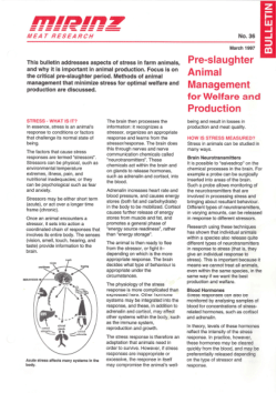 Pre-slaughter animal management for welfare and production