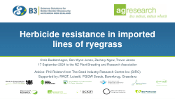 Herbicide resistance in imported lines of ryegrass & seed biosecurity