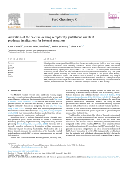 Activation of the calcium-sensing receptor by glutathione maillard products: Implications for kokumi sensation