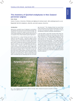 The chemistry of <i>Epichloë</i> endophytes in New Zealand perennial ryegrass