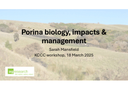 Porina biology, impacts & management