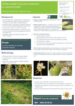 Golden dodder (<i>Cuscuta campestris</i>) is a serious threat! Potential impacts of this vampire pest plant
