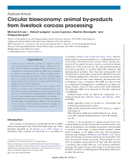 Circular bioeconomy: Animal by-products from livestock carcass processing
