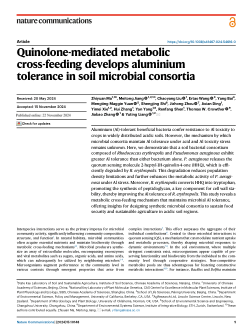 Quinolone-mediated metabolic cross-feeding develops aluminium tolerance in soil microbial consortia