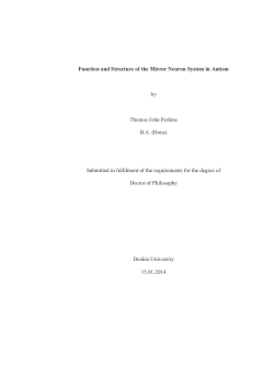 Function and structure of the mirror neuron system in autism