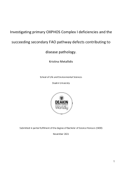 Investigating primary OXPHOS Complex I deficiencies and the succeeding ...