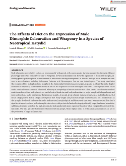 The effects of diet on the expression of male dimorphic colouration and weaponry in a species of neotropical katydid