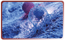 Vers un nouveau standard de prise en charge de 1re ligne des adénocarcinomes œsogastriques métastatiques HER2+ ?