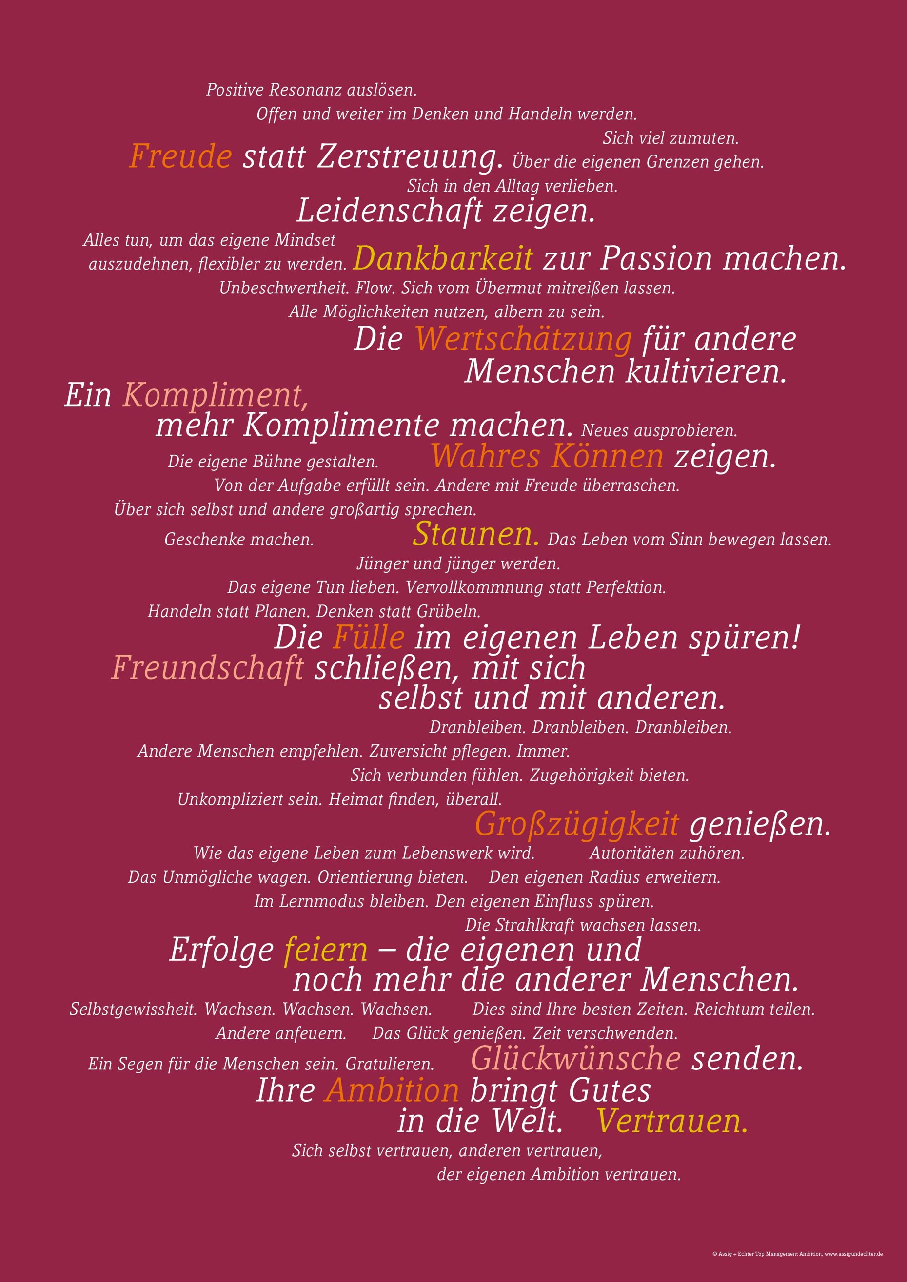 Ambition Deklaration