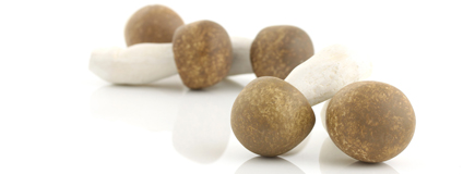 Der Agaricus blazei Murrill (ABM) ist der Vitalpilz mit der höchsten Polysaccharid-Konzentration; er ist für ein gesundes Funktionieren der Abwehrkräfte wichtig. Gesellschaft für Vitalpilzkunde e.V.