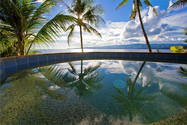 Pool mit Palmen