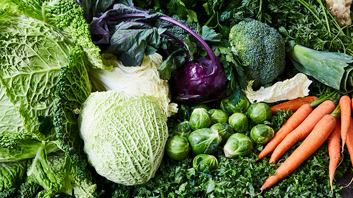 verschiedenes Wintergemüse / picture alliance / Food Collection | Kirchherr, Jo