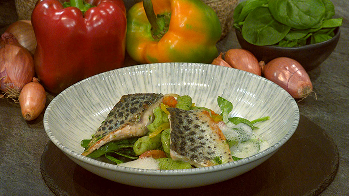 Seeforellenfilet mit Spinat-Gnocchetti