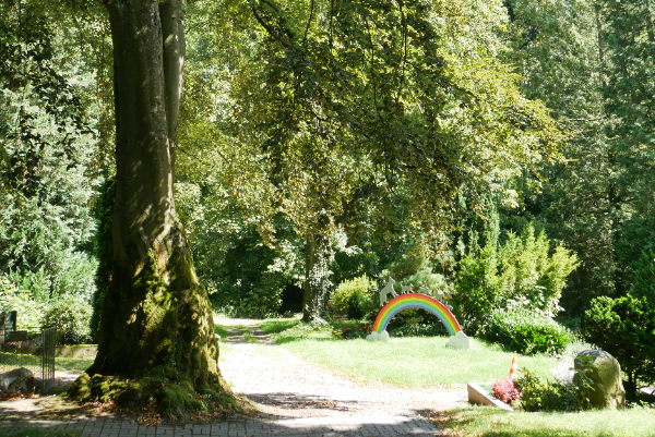 600 pixels wide image