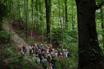 Foto: N. Eschenmoser/Schweizer Heimatschutz