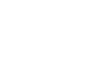 Chester Logo