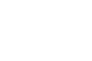 Pikeur Logo