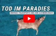 Film: Tod im Paradies