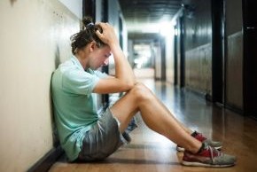 290 pixel image width