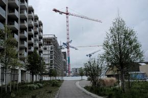 290 pixel image width