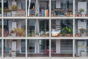 290 pixel image width