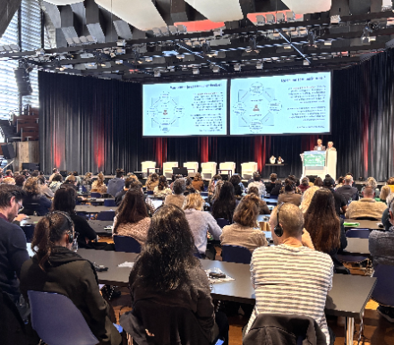 Newsletter Header Image