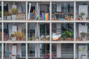 290 pixel image width