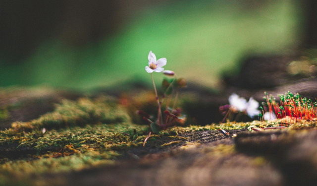 Ressourcen Entdecken