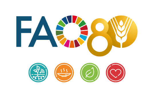 World Food Day 2025: Hand in Hand for a Better Future