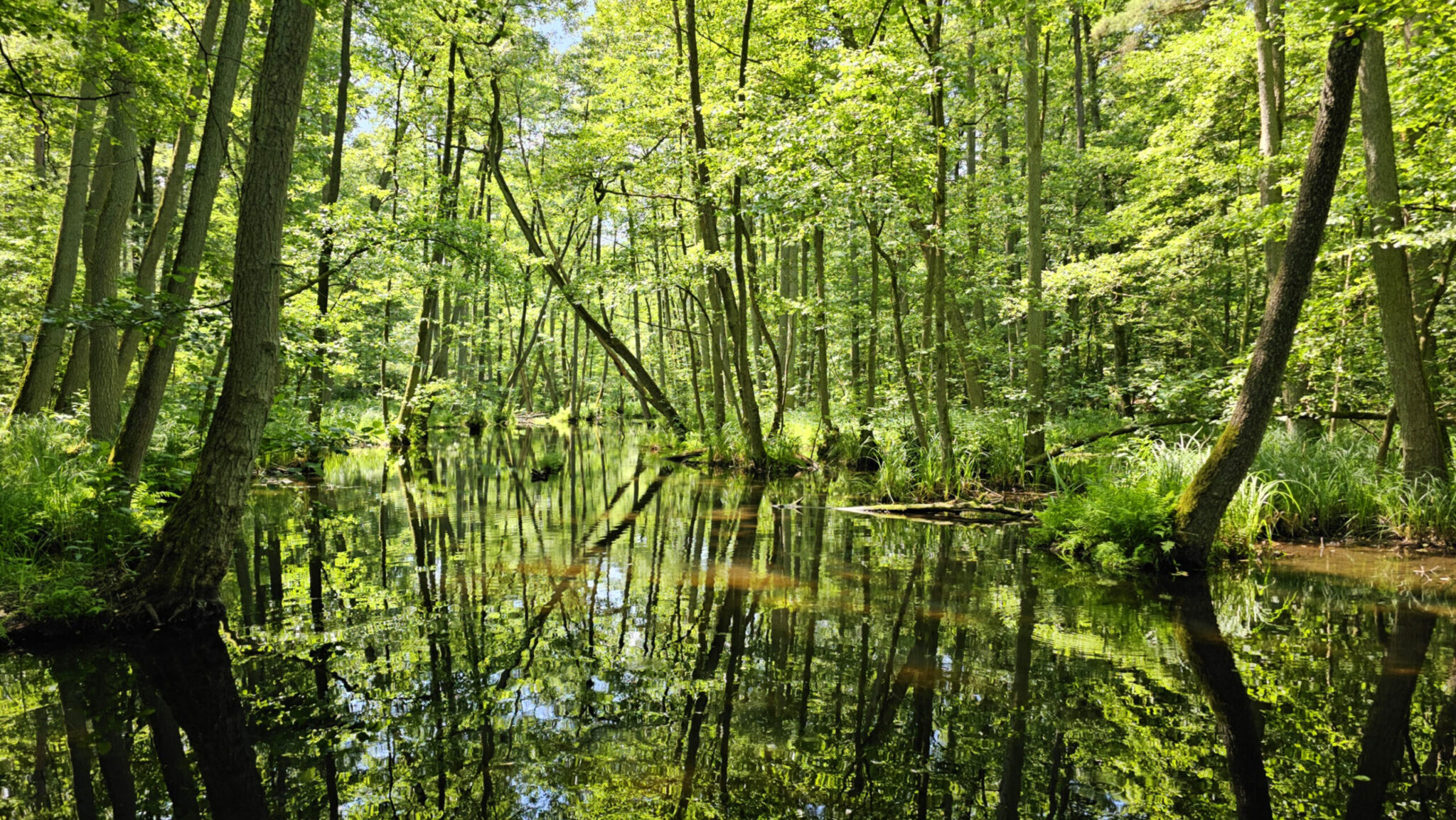 190 pixel image width