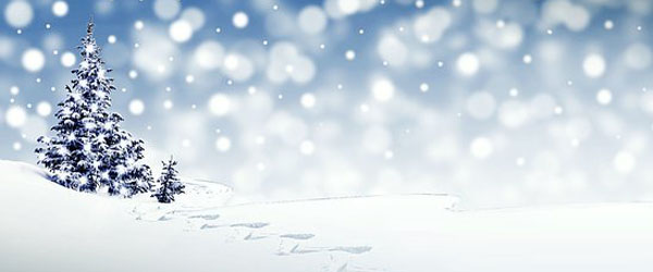 600 pixels wide image