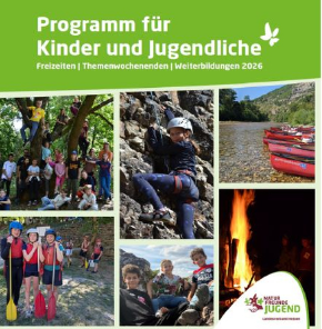 290 pixel image width