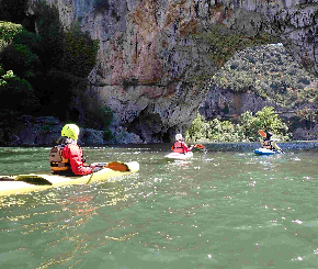 290 pixel image width